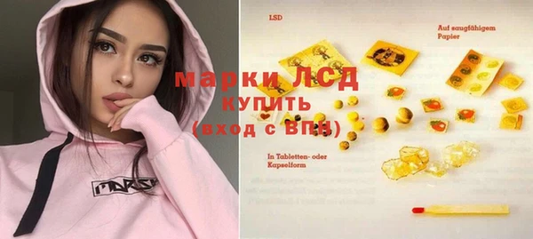 стафф Ельня