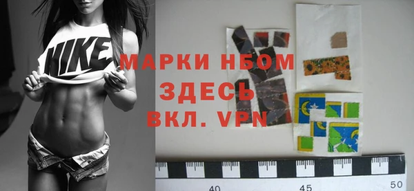 стафф Ельня