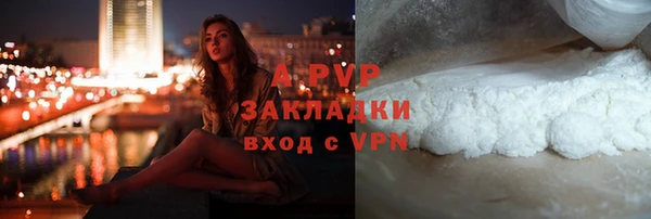 стафф Ельня