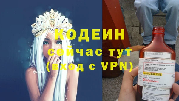 стафф Ельня