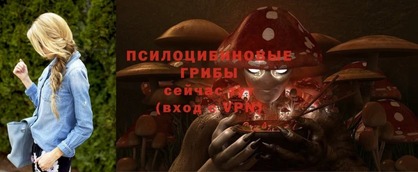 Альфа ПВП Остров